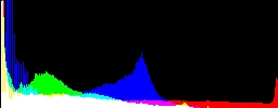 Histogram