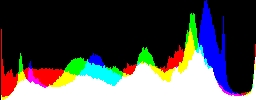 Histogram