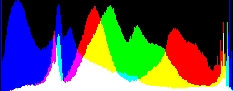 Histogram