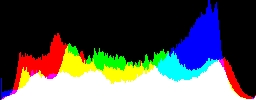 Histogram