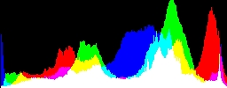 Histogram