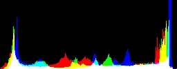 Histogram