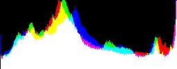 Histogram