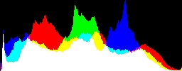 Histogram