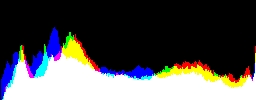 Histogram