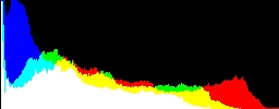 Histogram