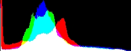 Histogram