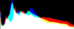 Histogram