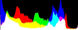 Histogram