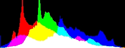 Histogram