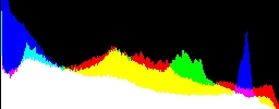 Histogram