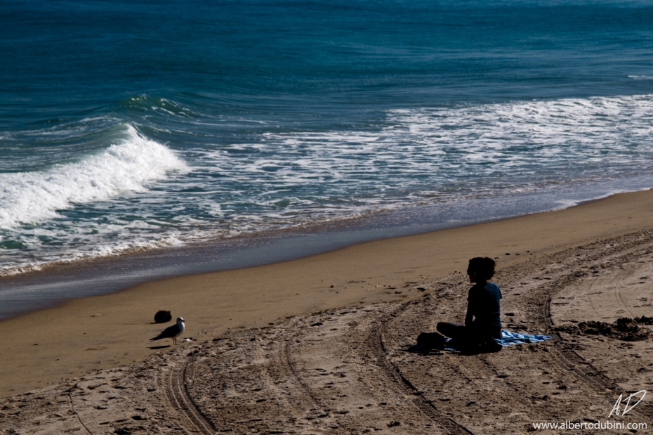 Watching the Ocean