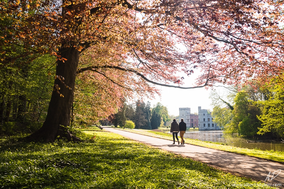 Romantic Walk in Meise Botanic Garden