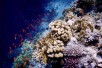 Underwater