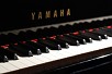 Music Portfolio #1