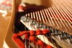 Inside Grand Piano