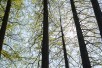 Meise Botanic Garden